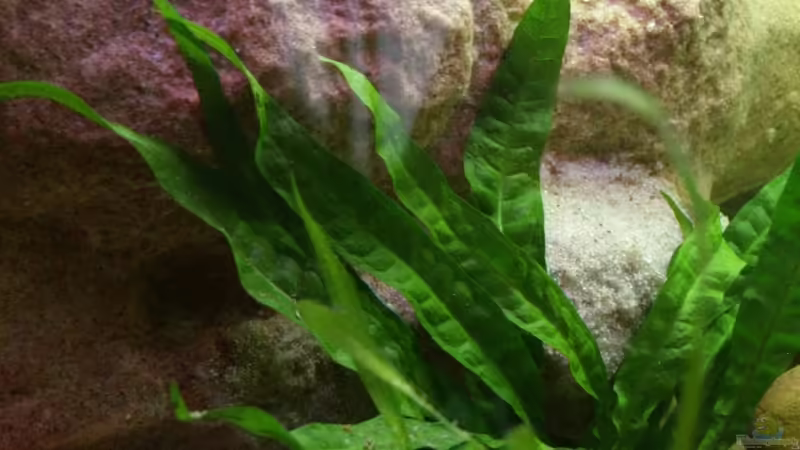 Links: die Höhle mit dem Ansaugtrakt und Heitzung von Thomas Rengier (10)