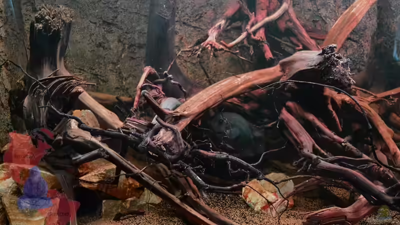 Links, ein bißchen mehr zur Mitte - 24.10.2012 von GGuardiaNN (15)