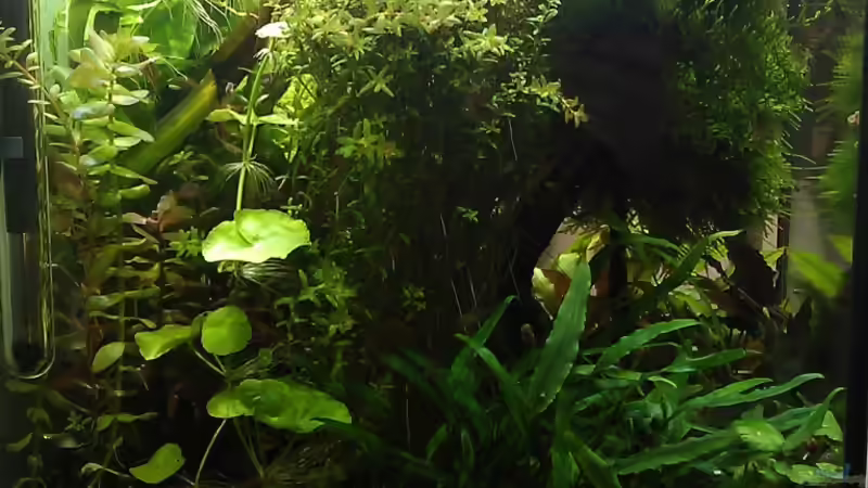 links, neu von El Hein (27)