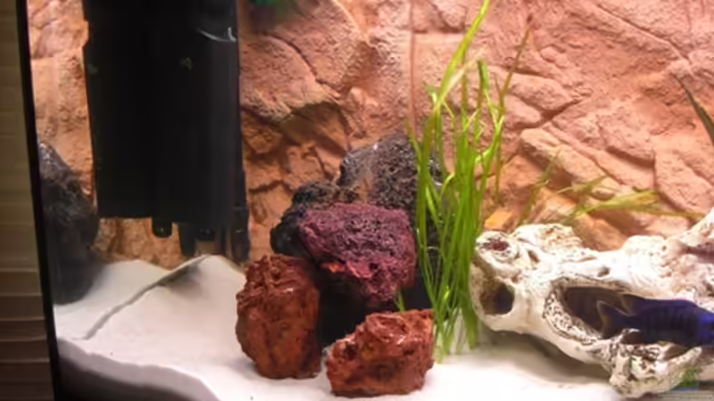 links  von Günni (4)