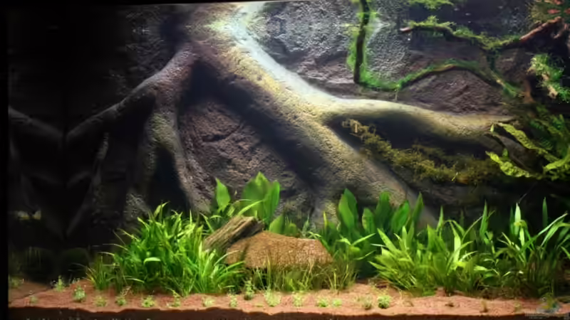 links 13.06.2009 von Kai Stephanides (2)