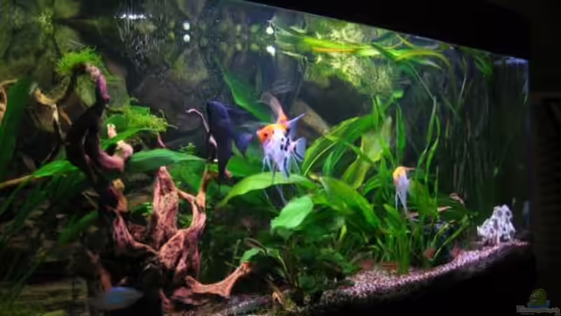 links 2.3.08 von Marco Weis (4)