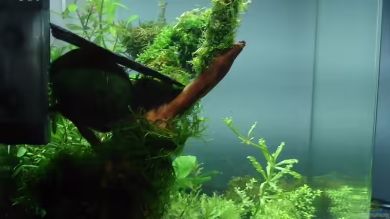 links 20.09.2008 von quickmike (3)