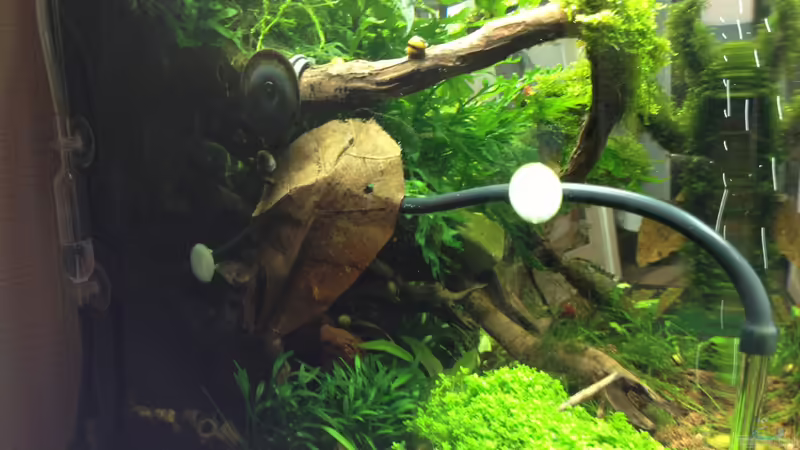 links 21.04.2013 von Walde (28)