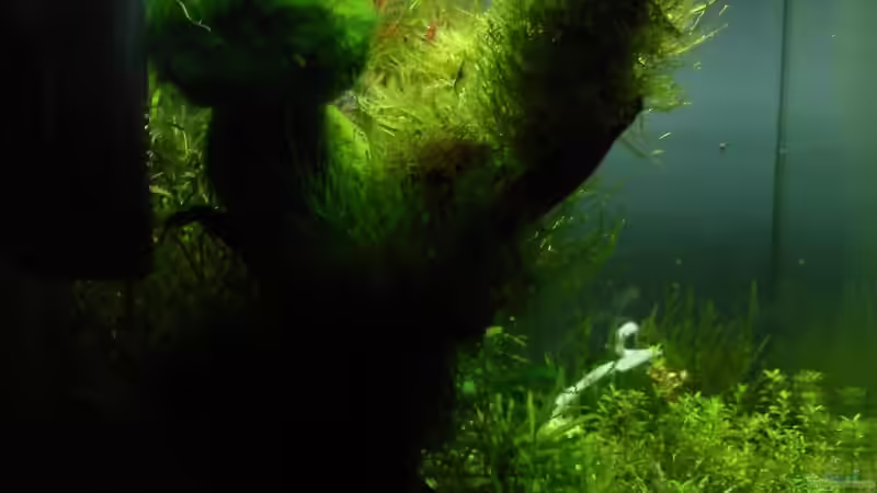 links 22.11.08 von quickmike (7)