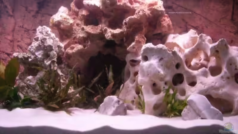 links die beiden künstlichen steine von breakfastklubber (14)