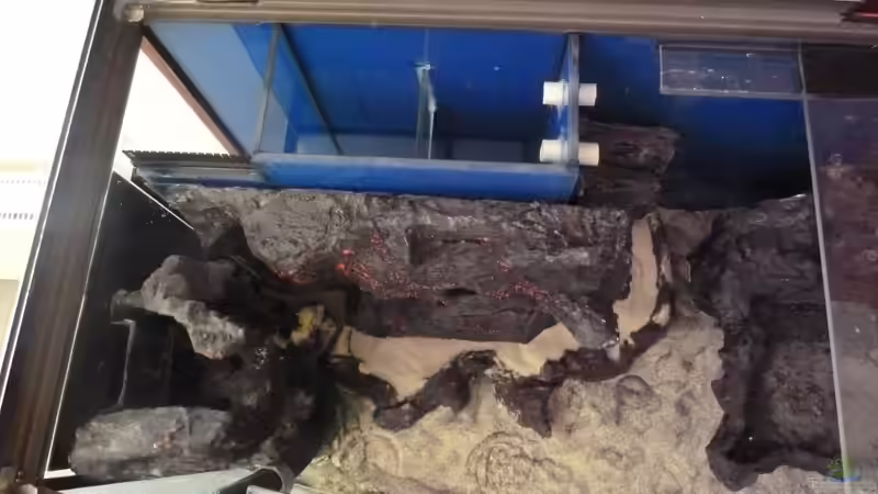 links eingeräumt, bereit zum wässern von Couro (33)