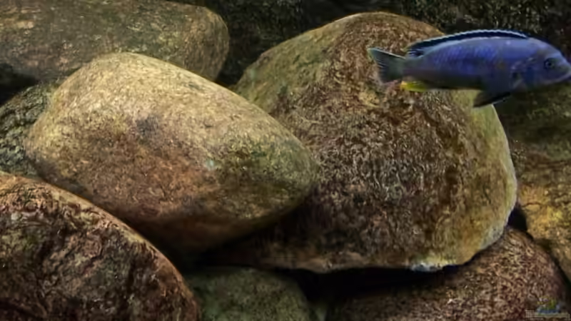 links Felsaufbau  von Rene Sarink (10)