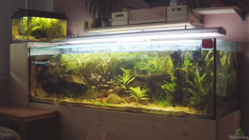 links im Schrank stehen die Filter, unten drunter ist Stauraum von Sebastian.. (5)