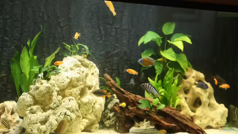 links Lochstein aus Kst. rechts Lochstein original von Big-Brother (3)