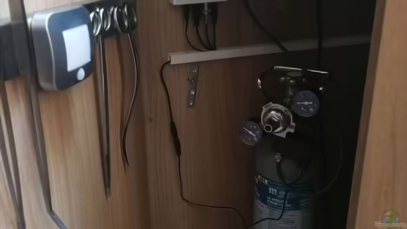 links mit JBL M2003 Co2 Anlage von Sprutz1973 (10)