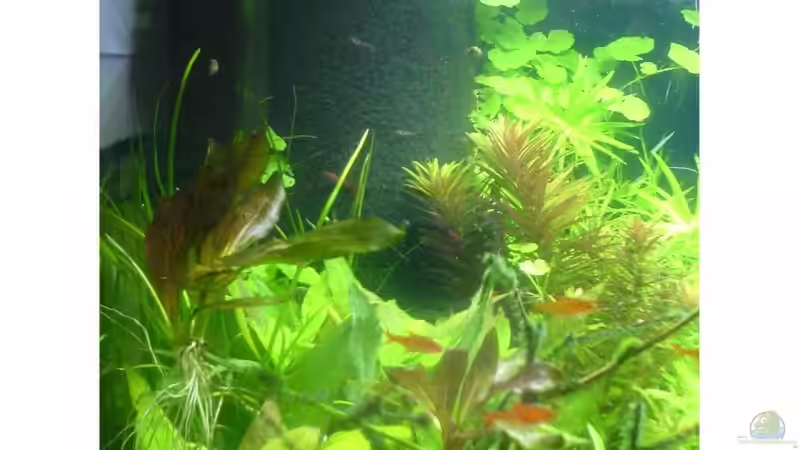 Links mit Matte von Christoph Grote (4)