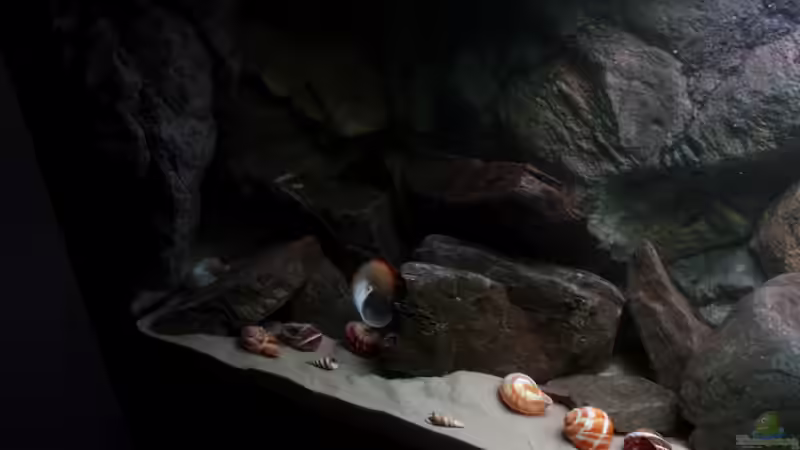 Links nach Befüllen von Koehler (24)