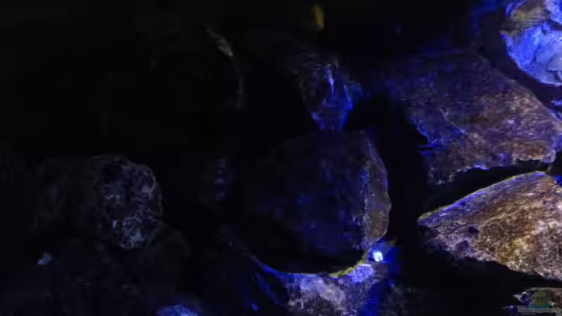 Links Schattenzone von Chimme (17)