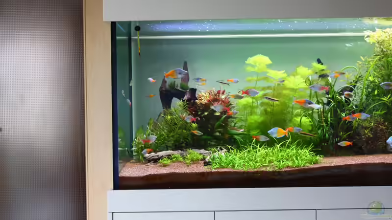 links Stand 26.05.2013 von Schmausi (5)