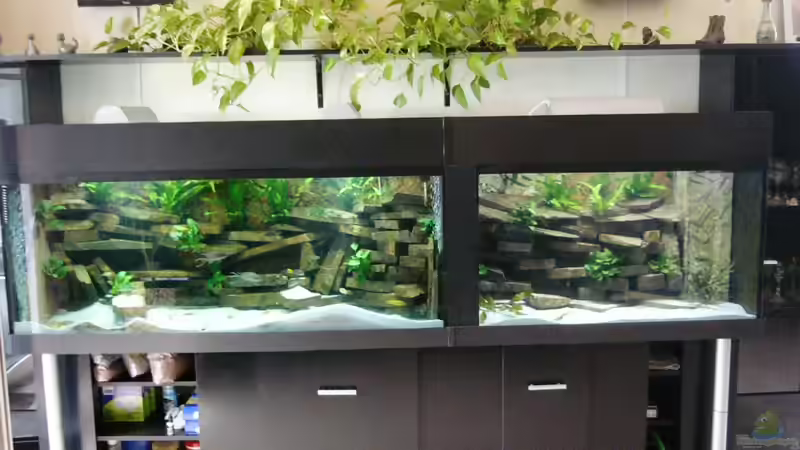 Links Tanganjika rechts Malawi