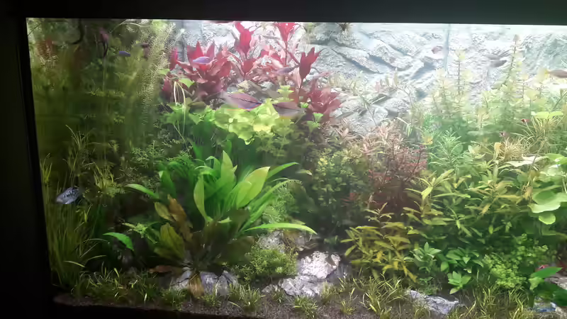 Links von Anfänger123 (3)