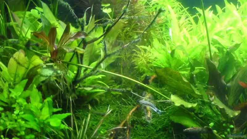 Links von Christoph Grote (7)