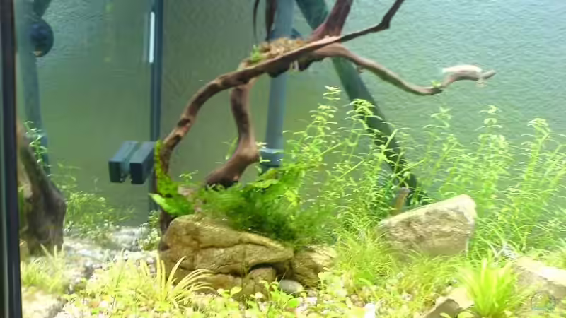 links von Christoph H. (12) (4)