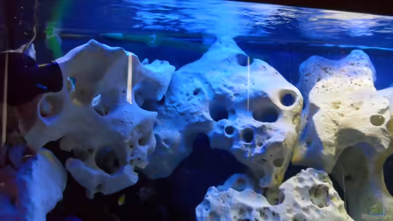 Links von Crashdragon (8)