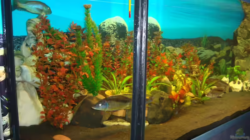 links von Fabian S. (8)