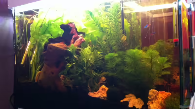 Links von GenesisEpoche (4)