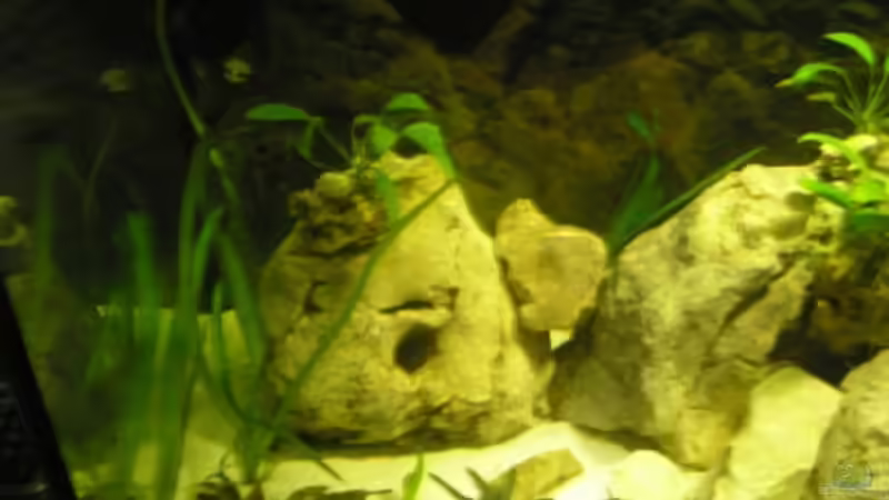 Links von guido400 (4)