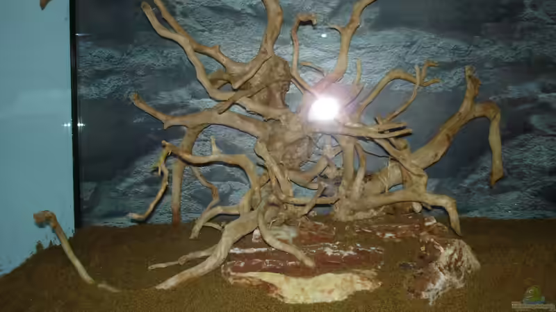 links von jobreuer (8)