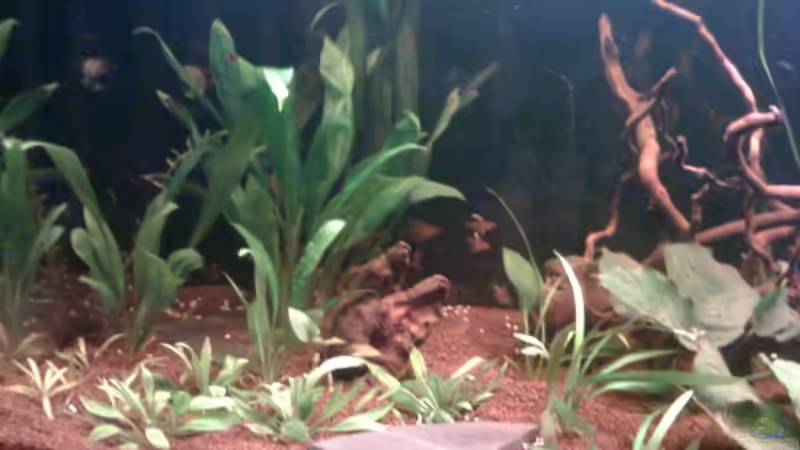 links von Jürgen Müller (6)