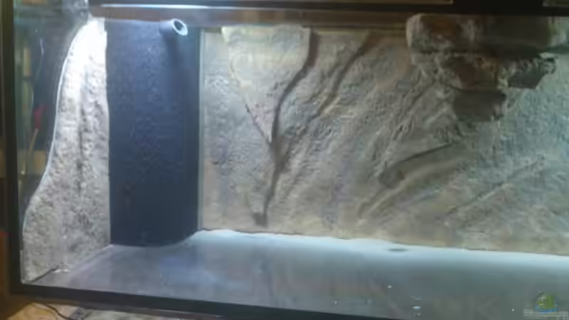 links von Julien Preuß (12)