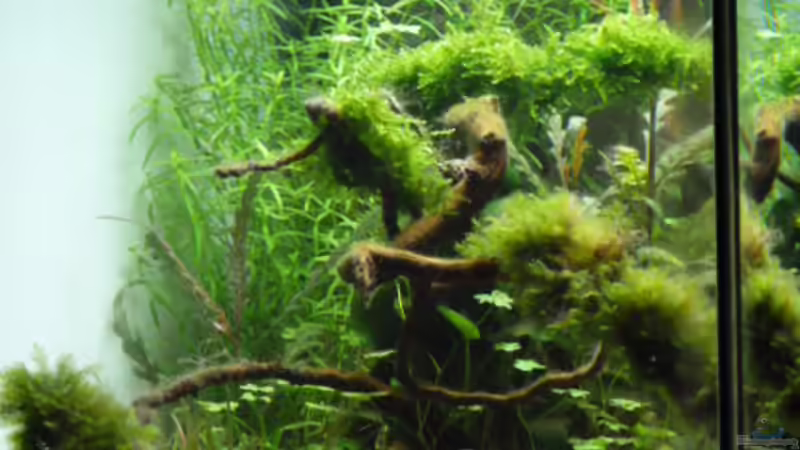 Links von Martin W. (11)