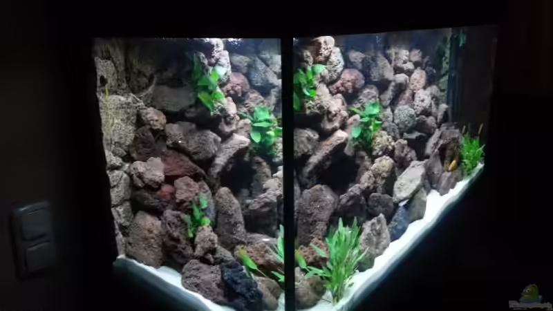 links von Ole Möhre (2)