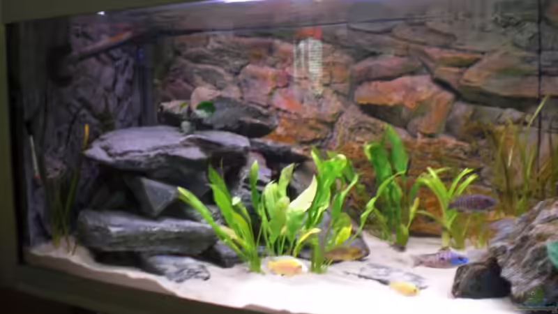 links von pennywise (5)