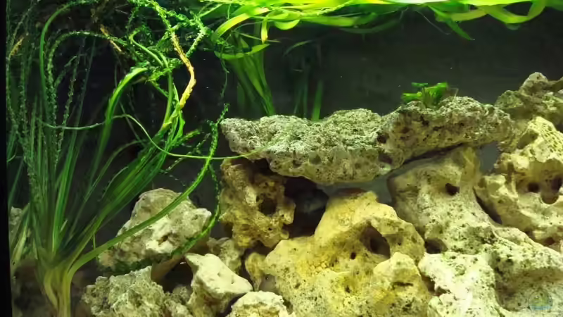 links von Philipp Schneider (2)