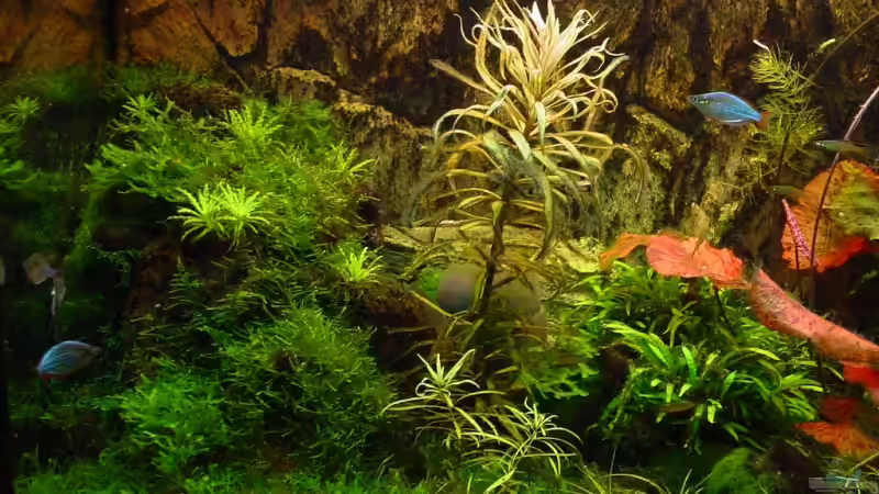 Links von Sabine Stark (5)