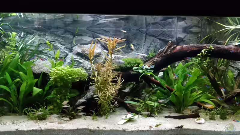 links von Woidma (18)