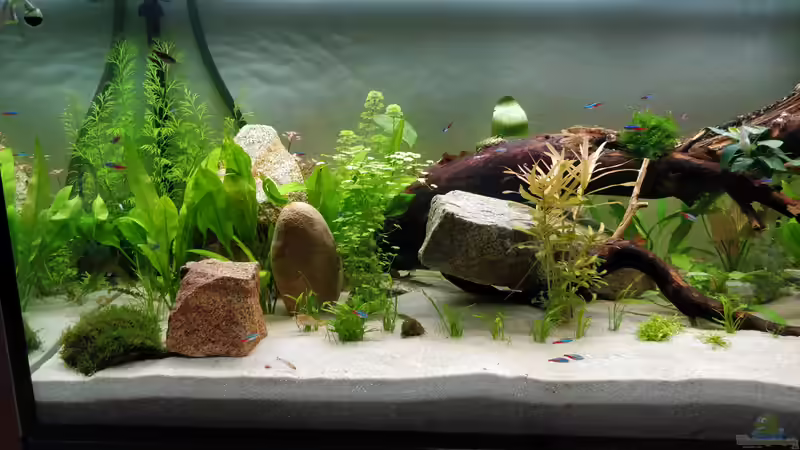 links von Woidma (49)