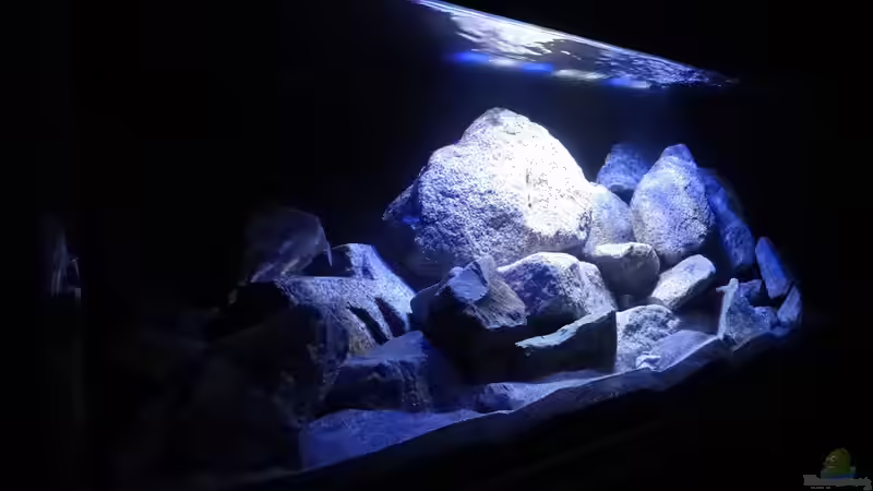 links vorne, LED von Malawi_Einsteiger (13)