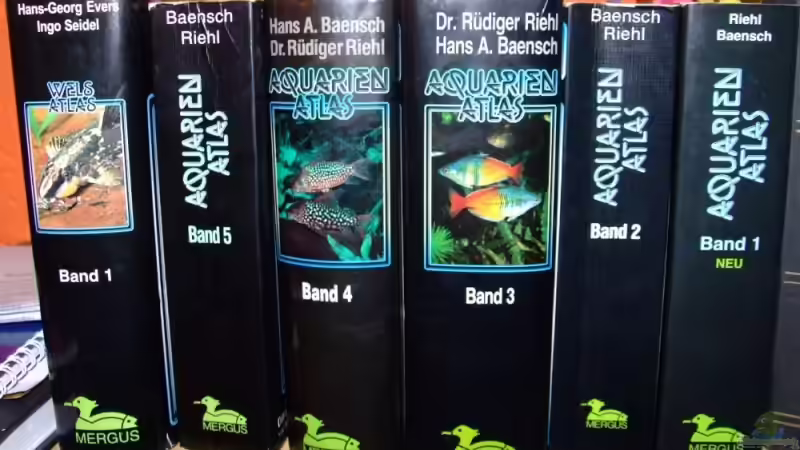 Literatur von Wels-fan (44)