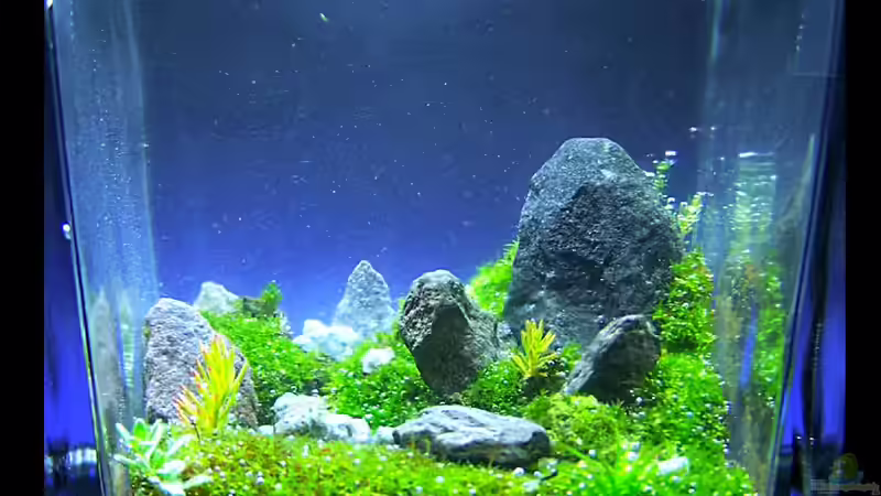 Little Big Stones von Fredo Fuss (1)