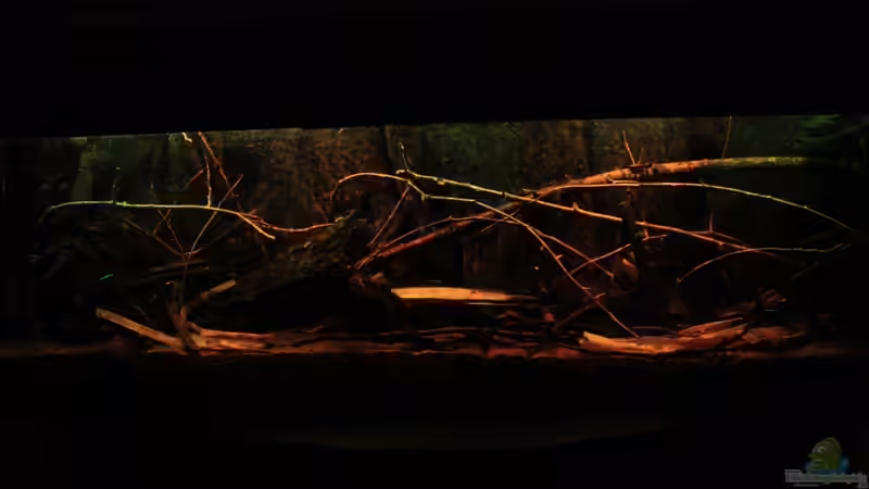 Little Rio Negro, März 2013 von Bämbel (1)