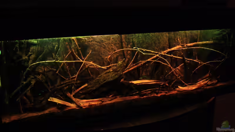 Little Rio Negro, März 2013 von Bämbel (10)