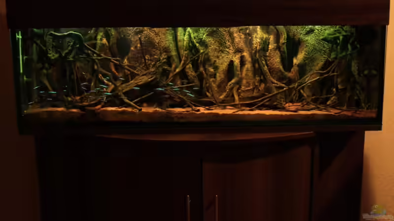 Little Rio Negro von Bämbel (2)