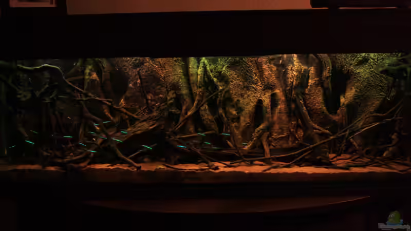 Little Rio Negro von Bämbel (3)