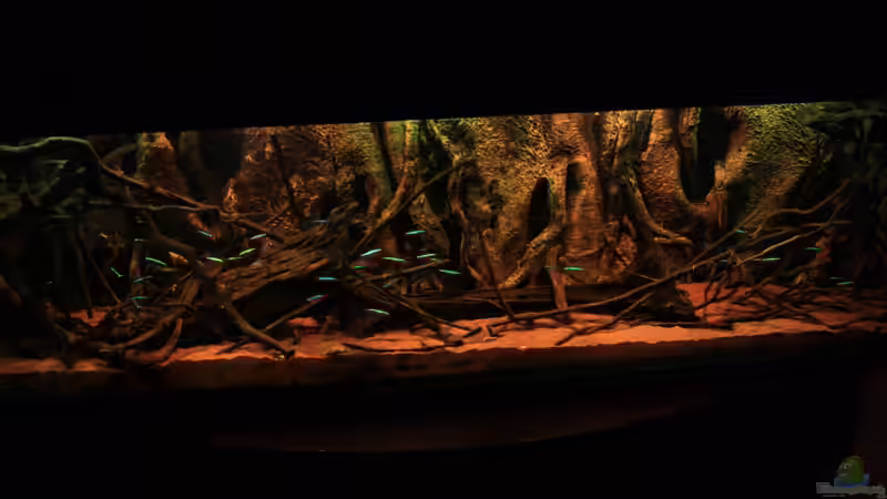 Little Rio Negro von Bämbel (5)