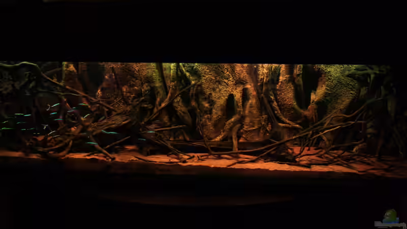 Little Rio Negro von Bämbel (7)