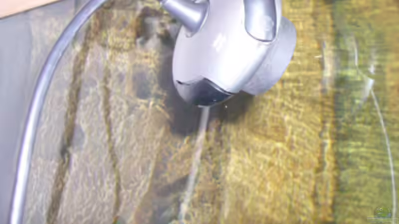 LiveCam von Gerhard Kittel (9)