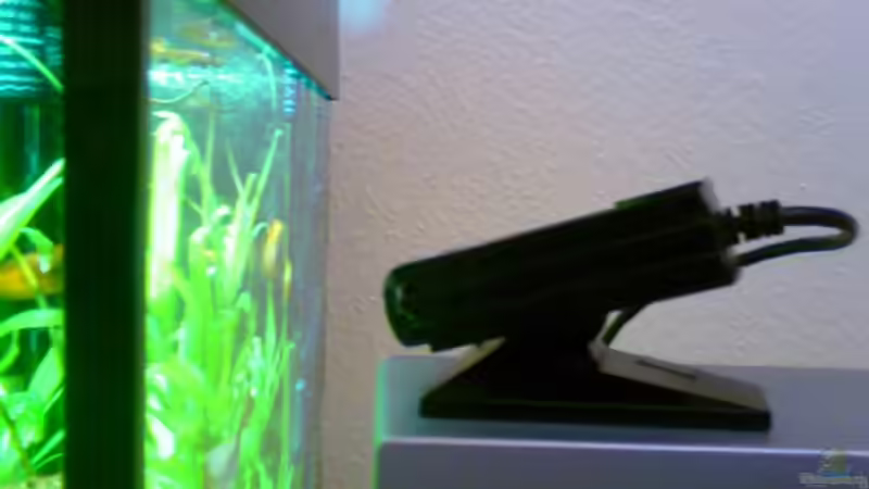 Livestream des Beckens ins Internet