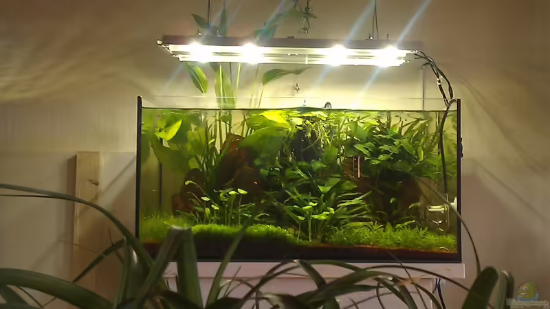 Living-Room-Tank 1.0 von El Hein (1)