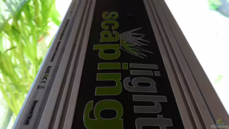 LiWeBe Scaping Light von John Pulpo (3)